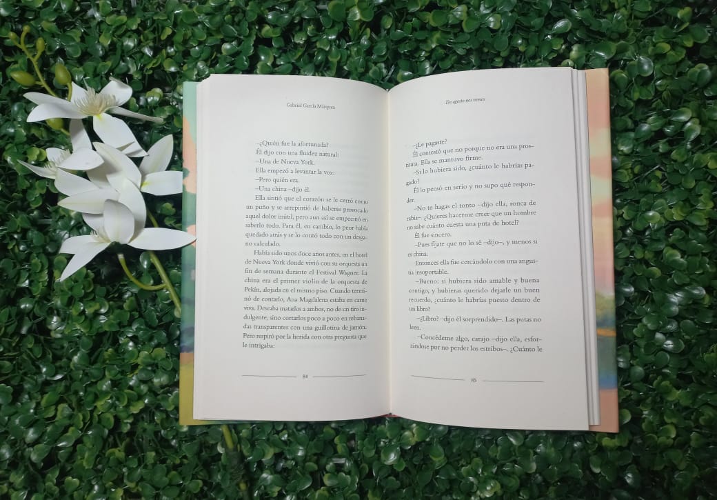 LIBRO EN AGOSTO NOS VEMOS (GABRIEL GARCIA MARQUEZ)