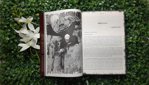LIBRO ANTOLOGIA DE RELATOS DE  VAMPIROS (VARIOS AUTORES)