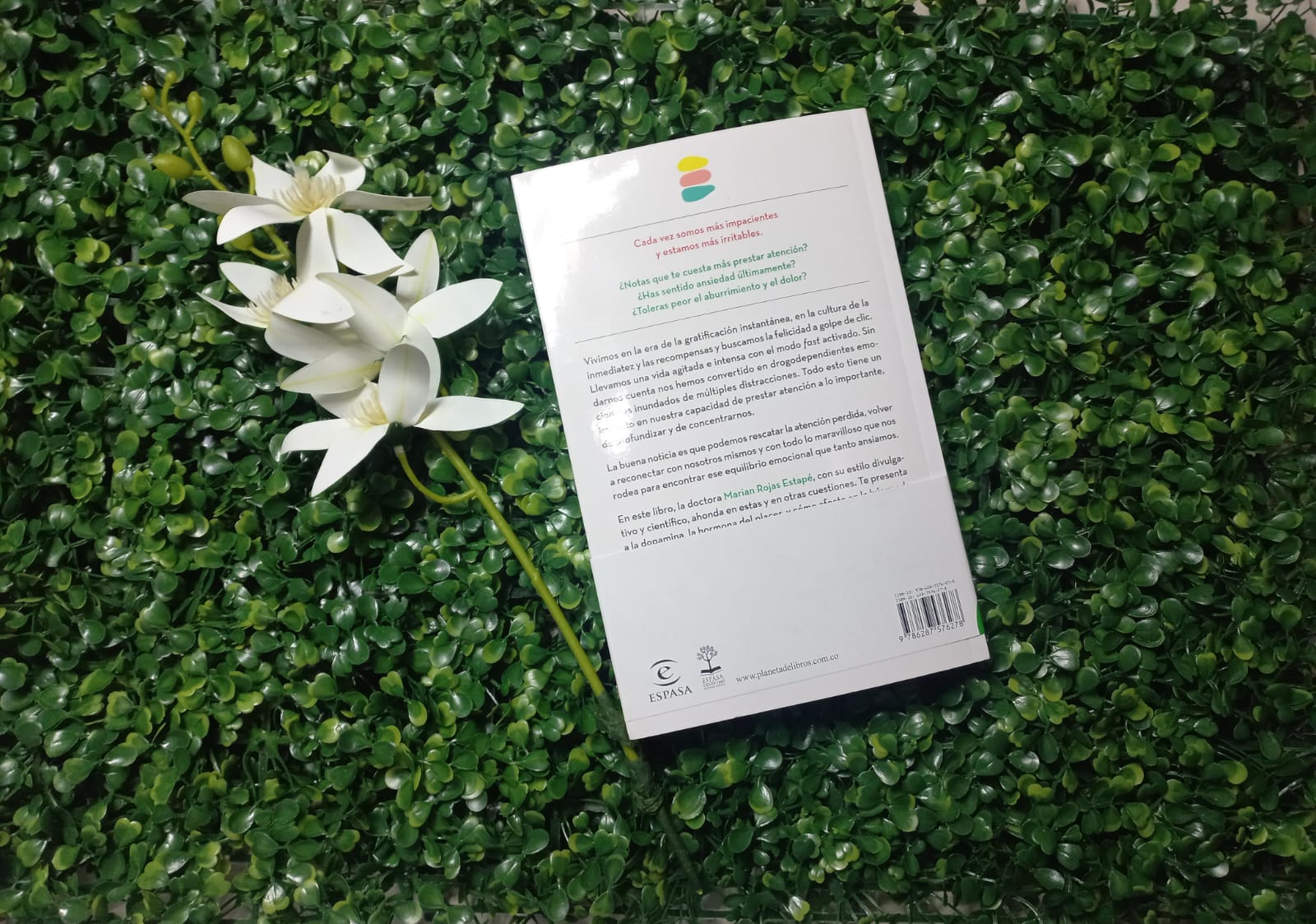 LIBRO RECUPERA TU MENTE, RECONQUISTA TU VIDA   (MARIAN ROJAS ESTAPE)