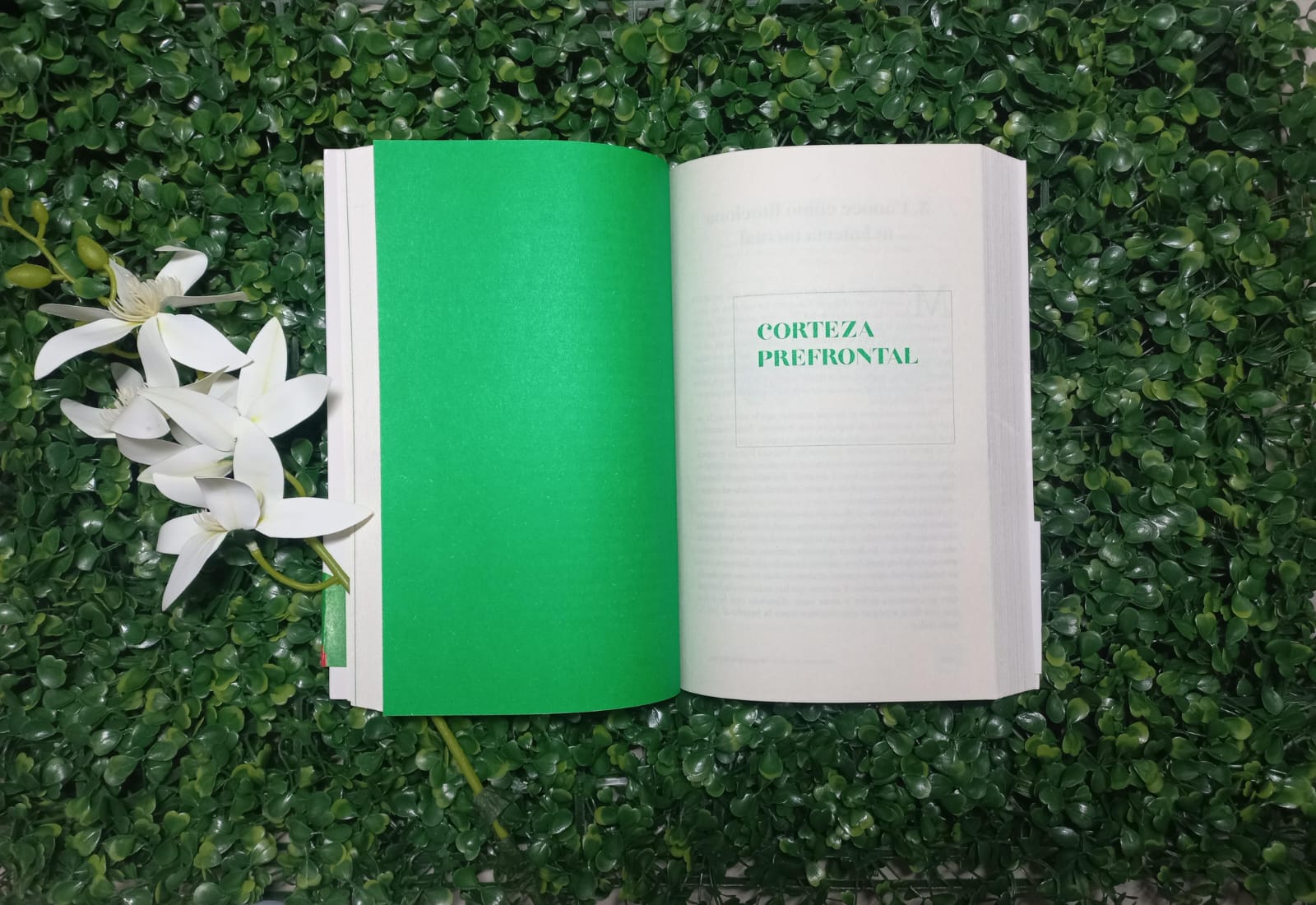 LIBRO RECUPERA TU MENTE, RECONQUISTA TU VIDA   (MARIAN ROJAS ESTAPE)