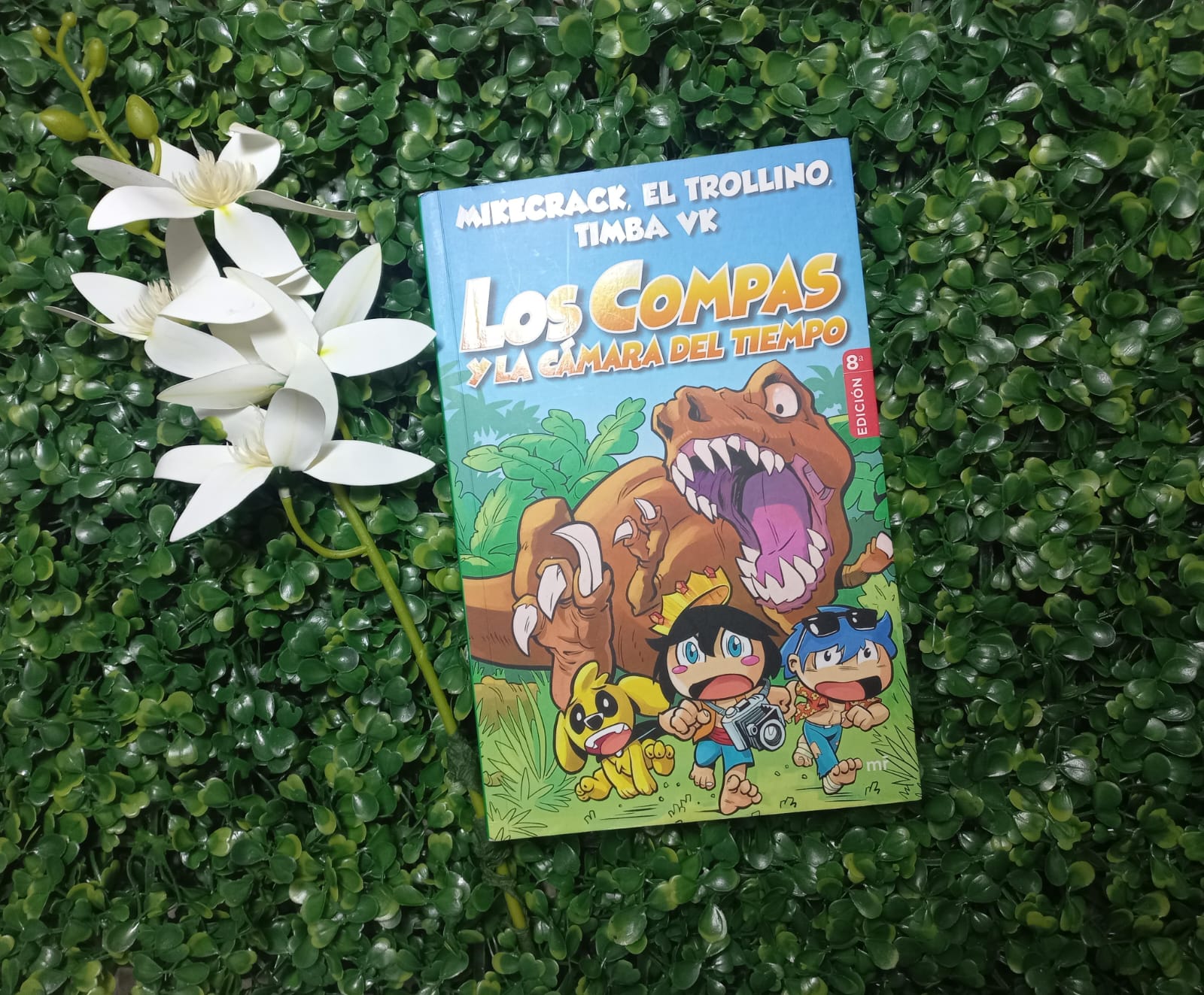 LIBRO LOS COMPAS Y LA CAMARA  DEL TIEMPO  (MIKECRACK,EL TROLLINO,TIMBA VK)