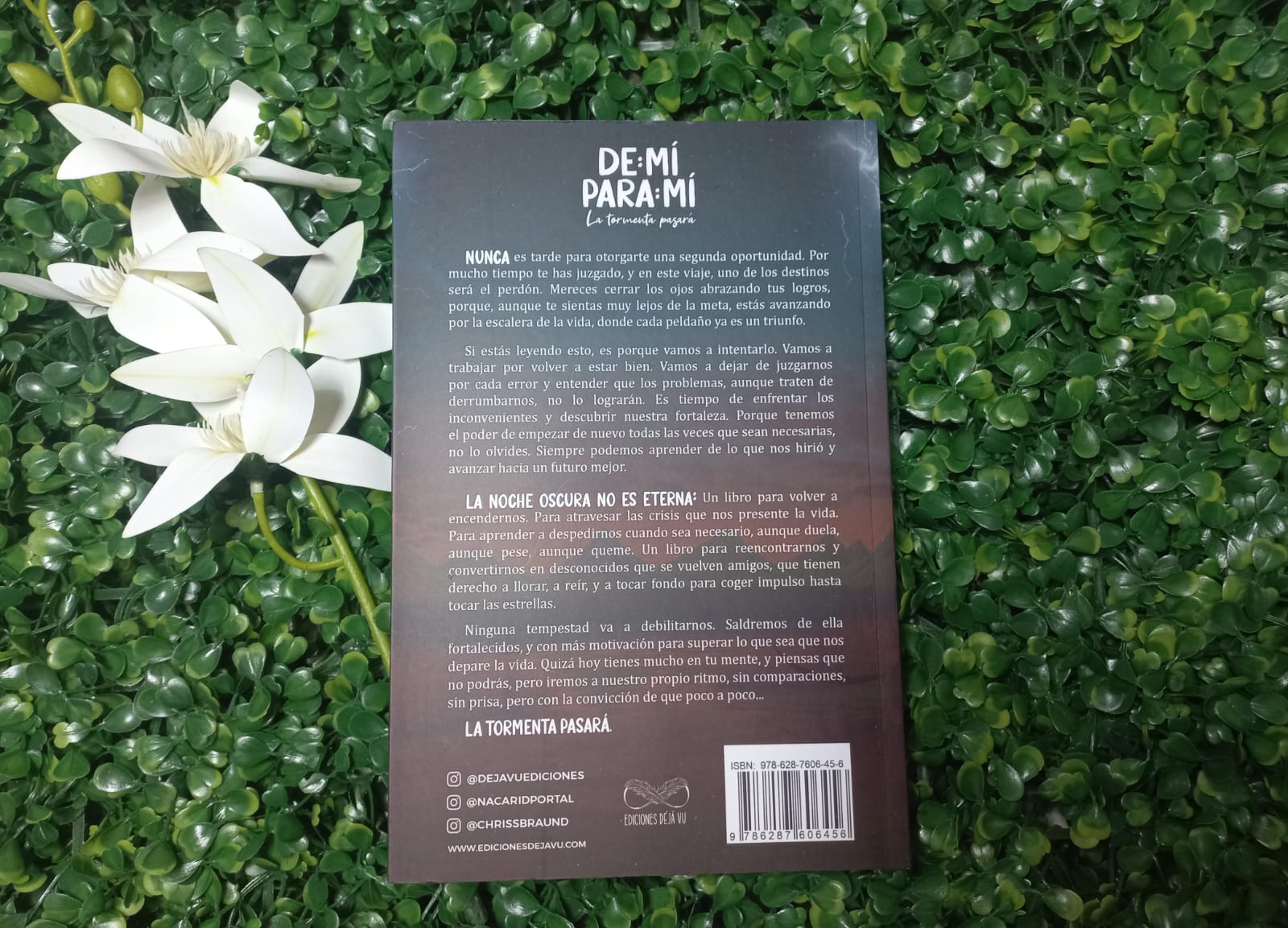 LIBRO DE MI PARA MI LA TORMENTA PASARA (NACARID PORTAL CHRISS BRAUND)