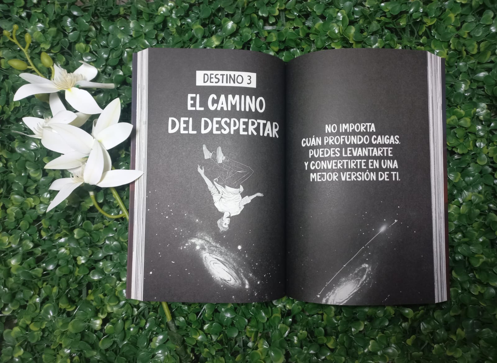 LIBRO DE MI PARA MI LA TORMENTA PASARA (NACARID PORTAL CHRISS BRAUND)