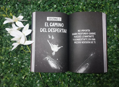 LIBRO DE MI PARA MI LA TORMENTA PASARA (NACARID PORTAL CHRISS BRAUND)