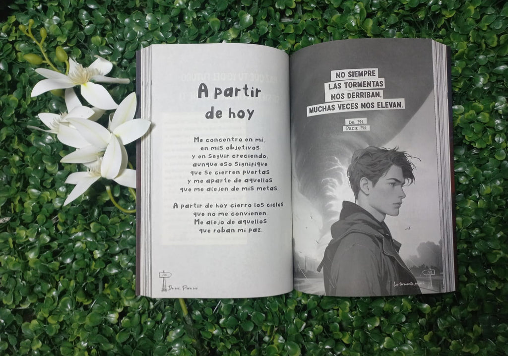 LIBRO DE MI PARA MI LA TORMENTA PASARA (NACARID PORTAL CHRISS BRAUND)