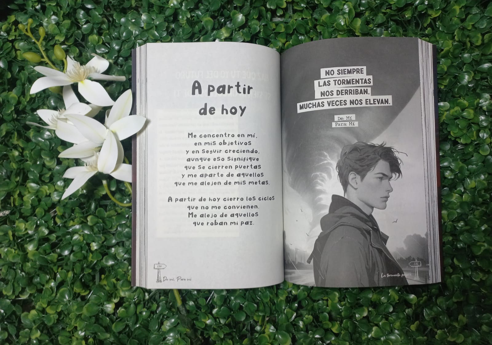 LIBRO DE MI PARA MI LA TORMENTA PASARA (NACARID PORTAL CHRISS BRAUND)