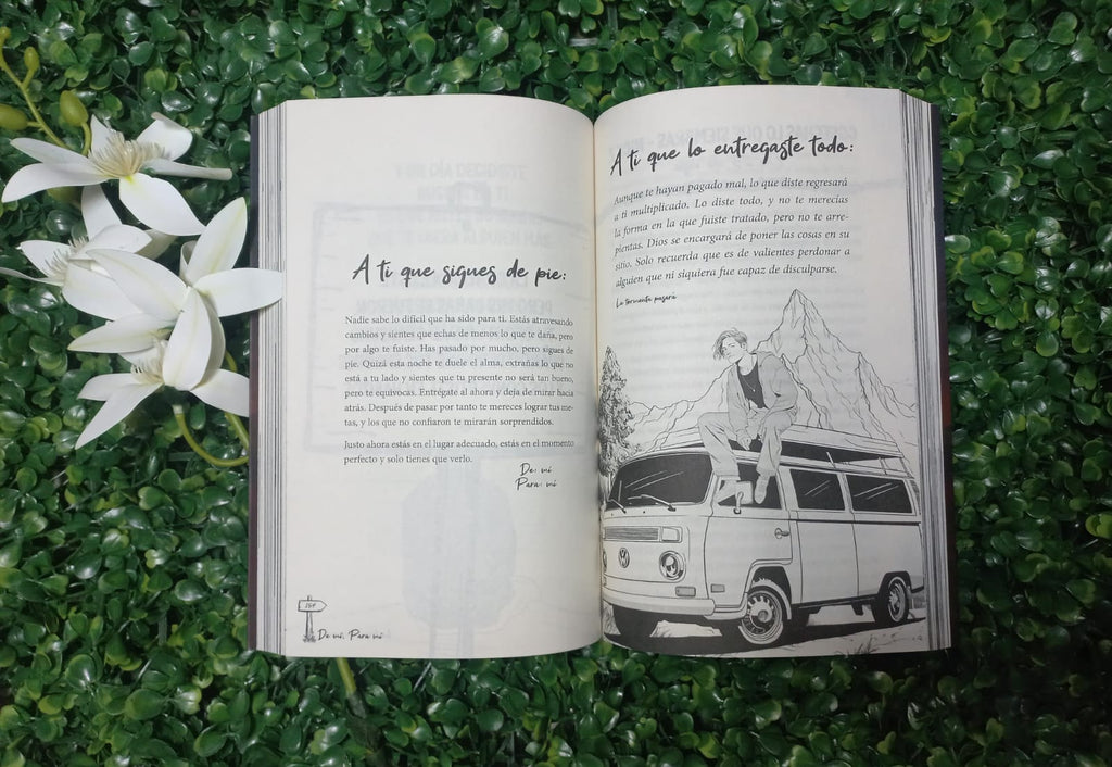 LIBRO DE MI PARA MI LA TORMENTA PASARA (NACARID PORTAL CHRISS BRAUND)