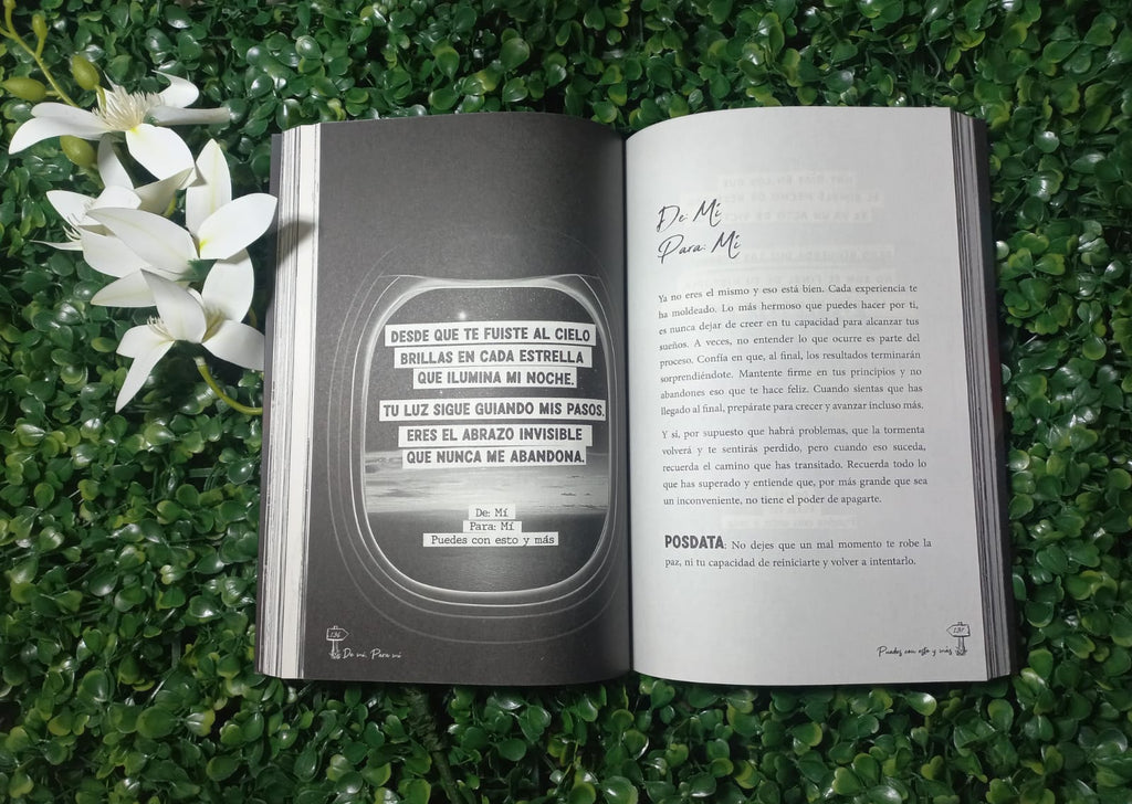 LIBRO DE MI PARA MI PUEDES CON ESTO Y MAS (CHRISS BRAUND NACARID PORTAL)