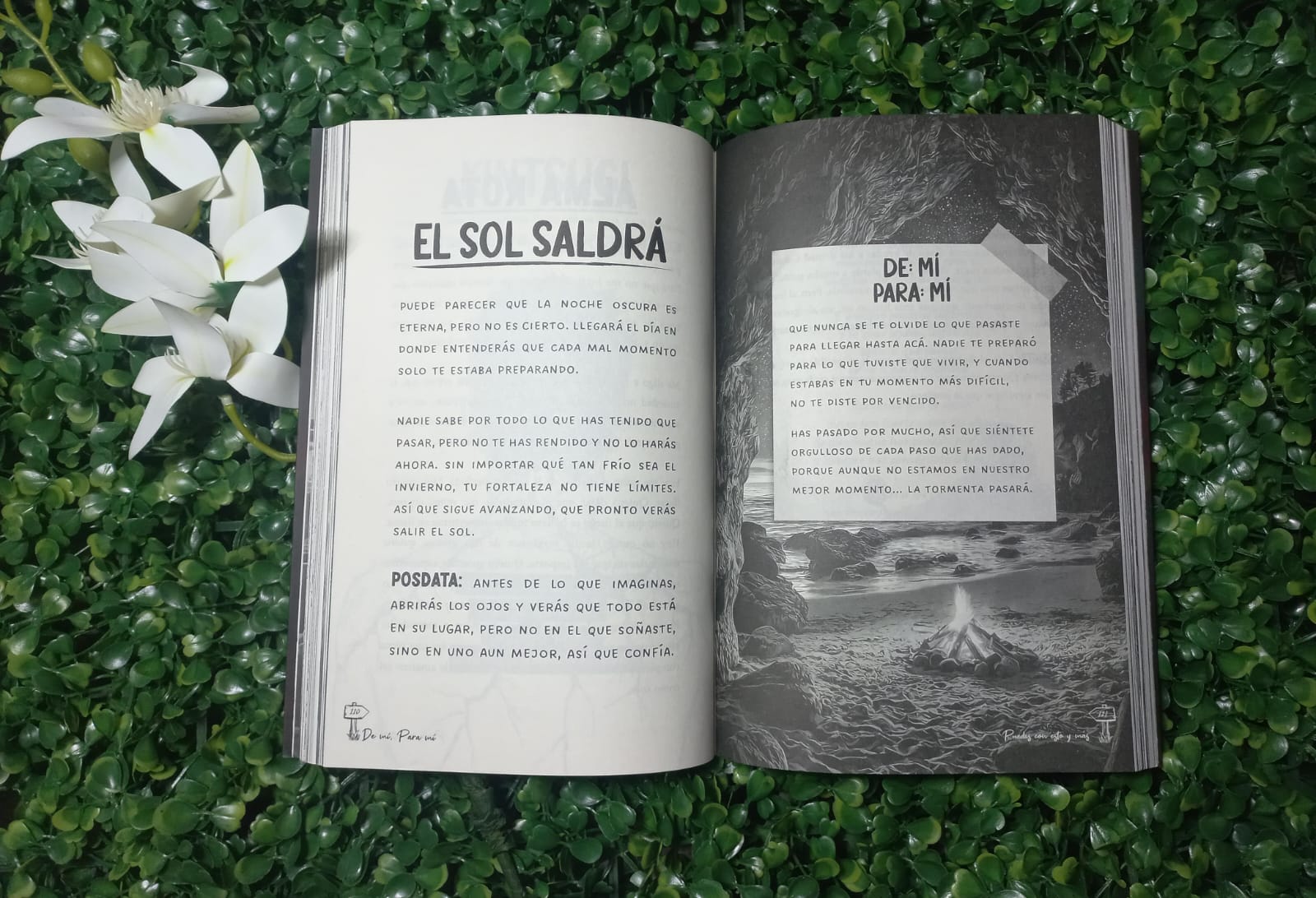 LIBRO DE MI PARA MI PUEDES CON ESTO Y MAS (CHRISS BRAUND NACARID PORTAL)