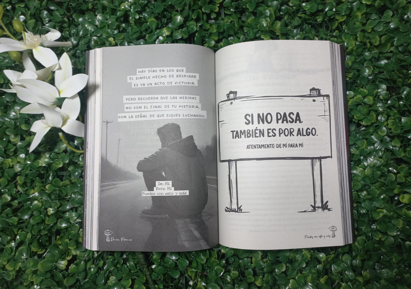 LIBRO DE MI PARA MI PUEDES CON ESTO Y MAS (CHRISS BRAUND NACARID PORTAL)